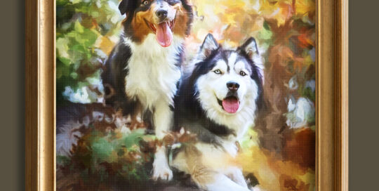 Pet Photography Greenwood, SC